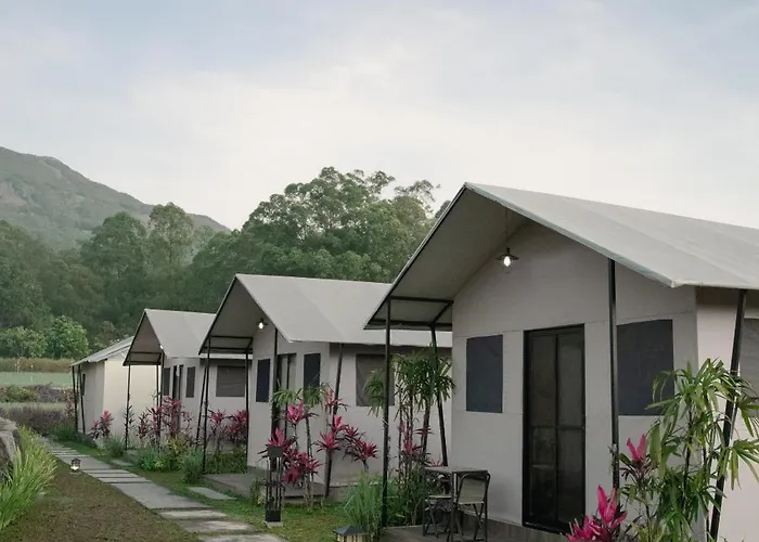 Birdnest Glamping