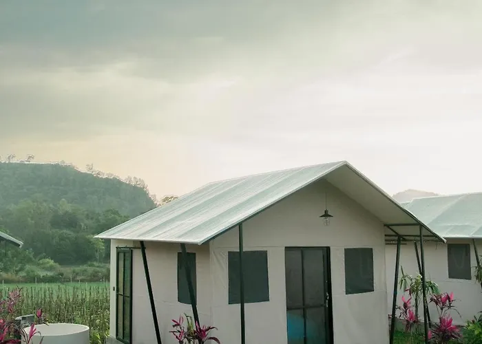 Birdnest Glamping ロッジ