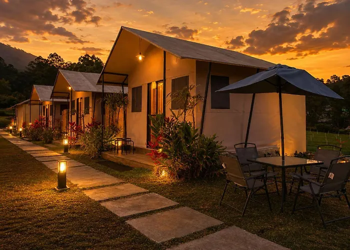 Birdnest Glamping