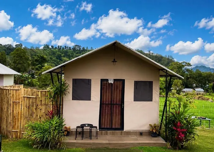 Birdnest Glamping *