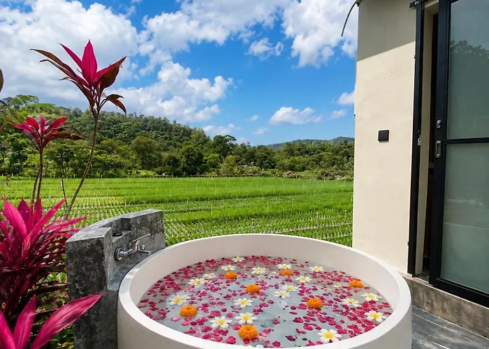 山林小屋 Birdnest Glamping 库布盼洛坎