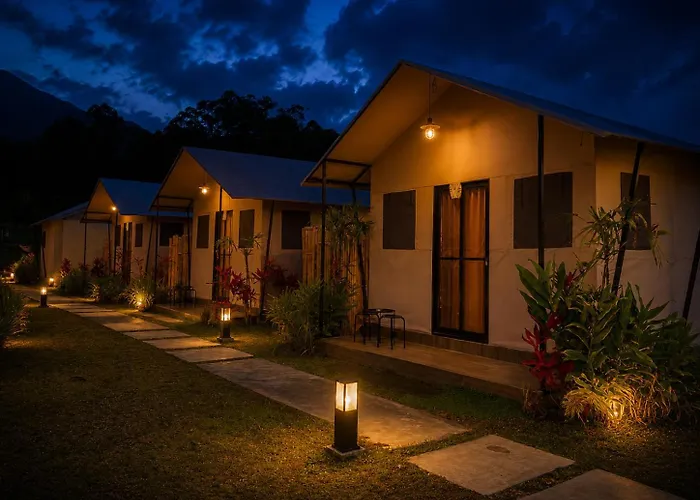 Birdnest Glamping *