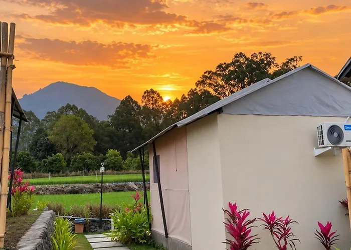 Lodge Birdnest Glamping Kubupenlokan
