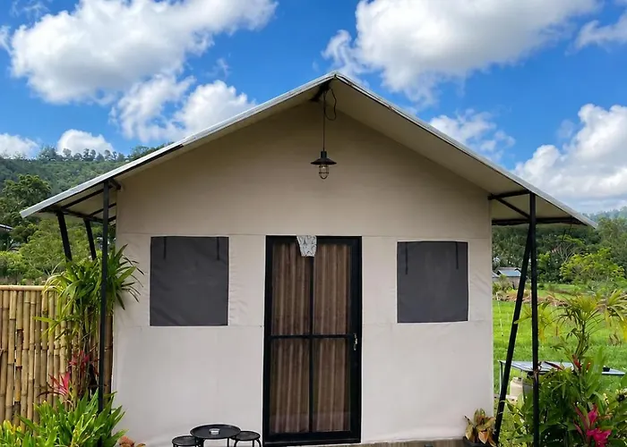 Lodge Birdnest Glamping