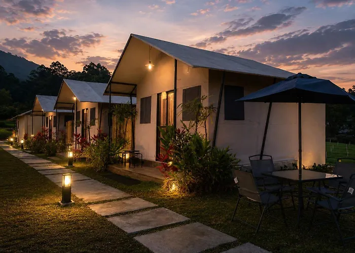 Birdnest Glamping *