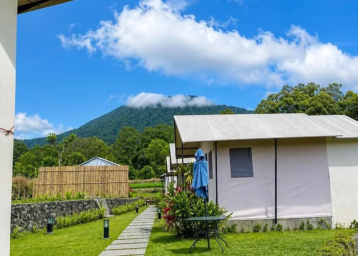 Birdnest Glamping *