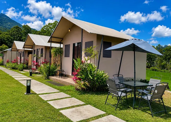 山林小屋 Birdnest Glamping