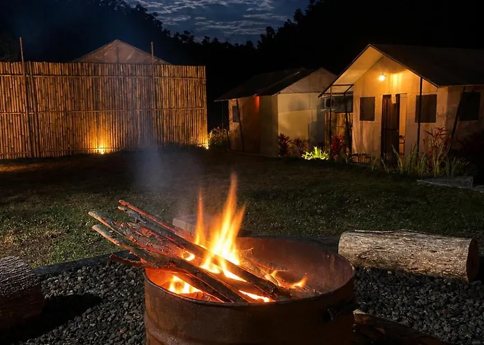 Birdnest Glamping *