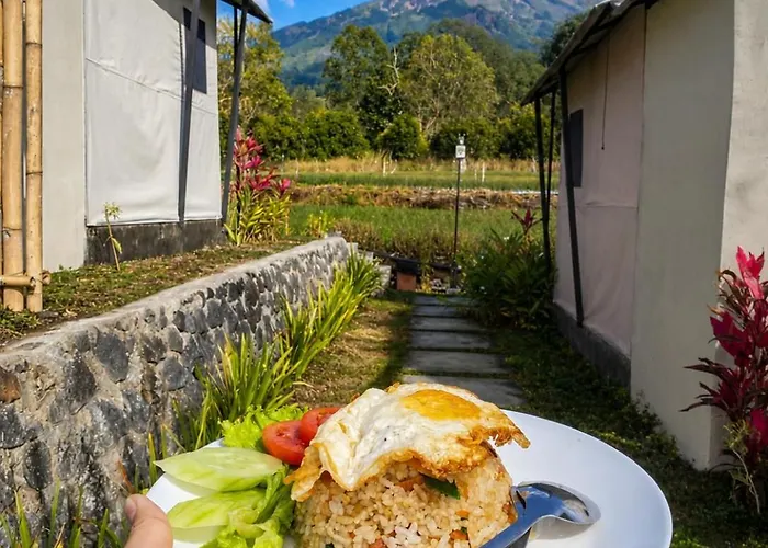 Birdnest Glamping