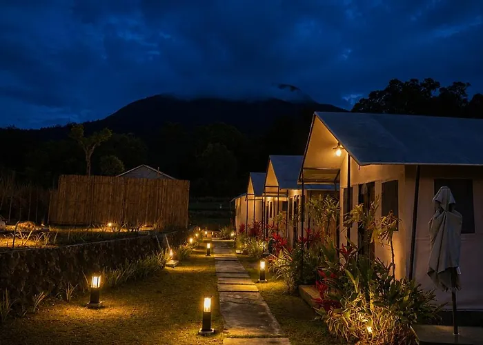 Lodge Birdnest Glamping *
